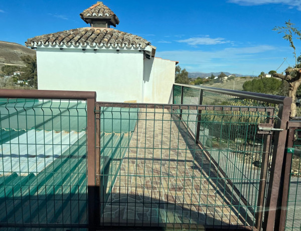 Alquiler de Finca rústica en camino La Deheesa baja, 100