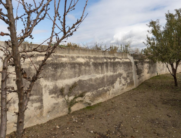 Terreno en venta en La Zubia