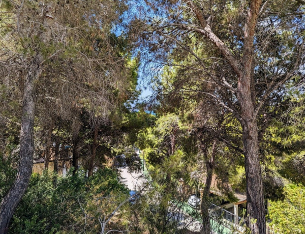 Terreno en venta en calle Mestre Música