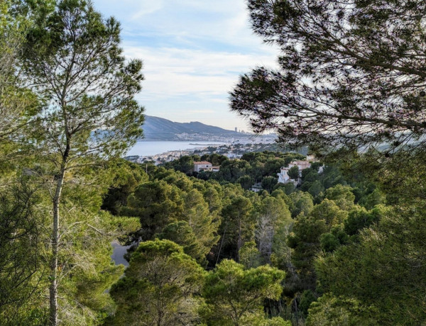 Terreno en venta en calle la Guatla