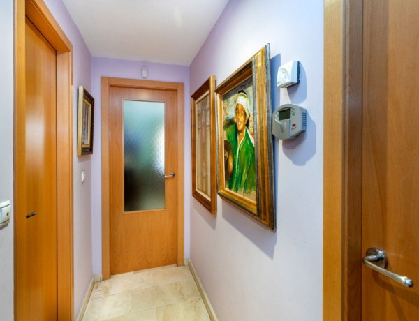 Piso en venta en Carrera de la Virgen - Paseo del Salón