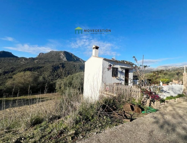 Finca rústica en venta en La Vega