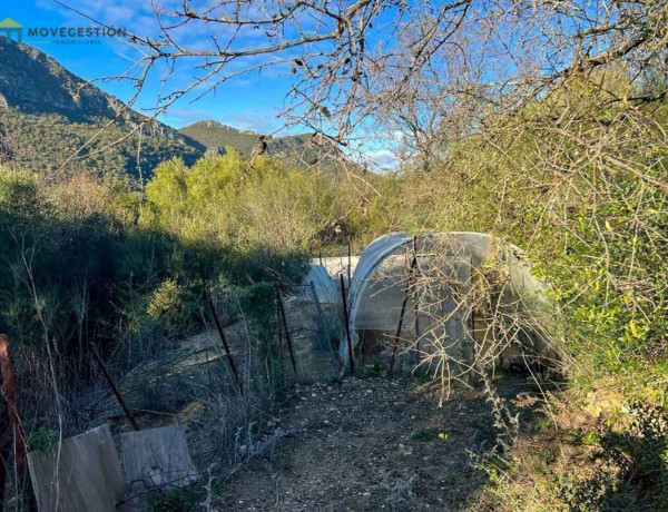 Finca rústica en venta en La Vega