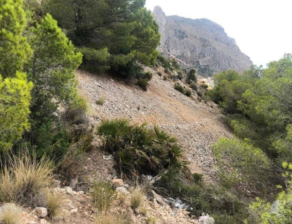 Terreno en venta en calle Inglaterra