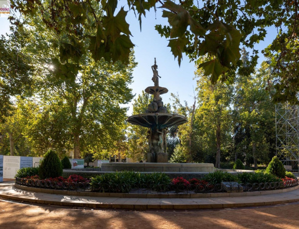 Piso en venta en Carrera de la Virgen, 5