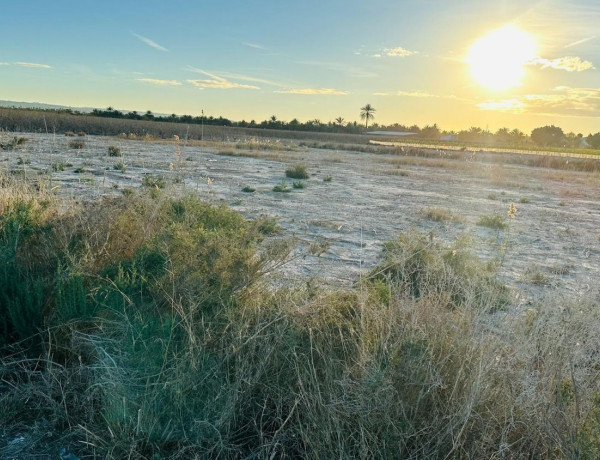 Terreno en venta en Partida Hoya