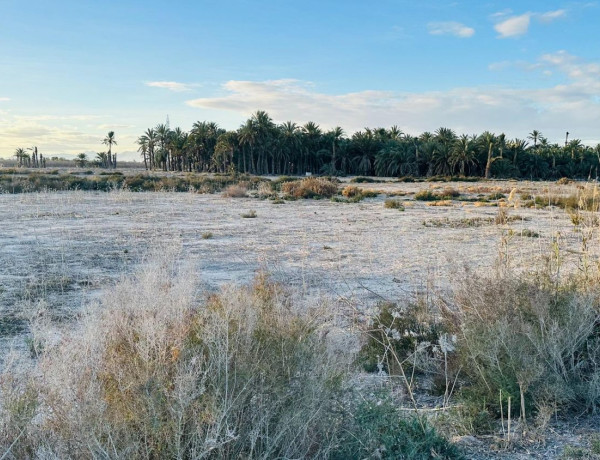 Terreno en venta en Partida Hoya