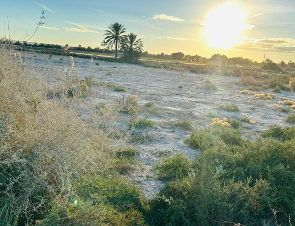 Terreno en venta en Partida Hoya