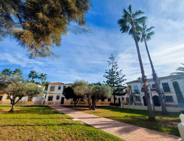 Casa o chalet independiente en venta en San Miguel de Salinas