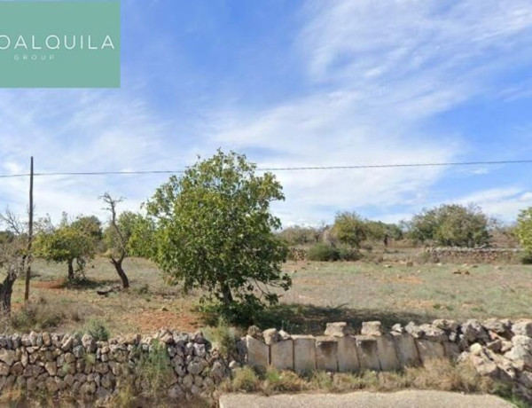 Finca rústica en venta en Maria de la Salud