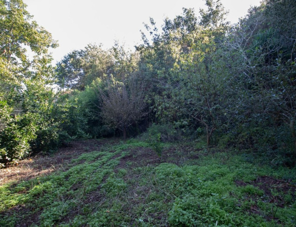 Terreno en venta en Garachico