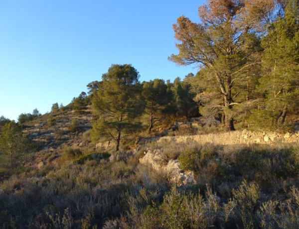 Terreno en venta en Mora d'Ebre