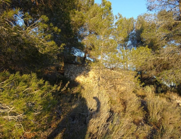 Terreno en venta en Mora d'Ebre