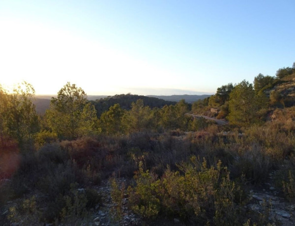 Terreno en venta en Mora d'Ebre