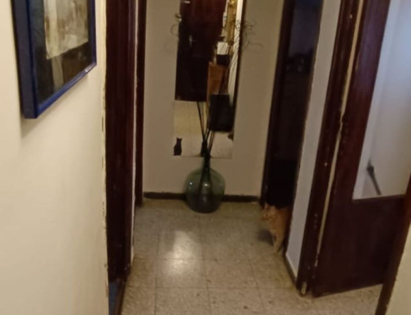 Piso en venta en calle de Teresa Agüesca