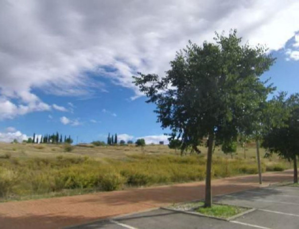 Terreno en venta en paseo Pedro Verde