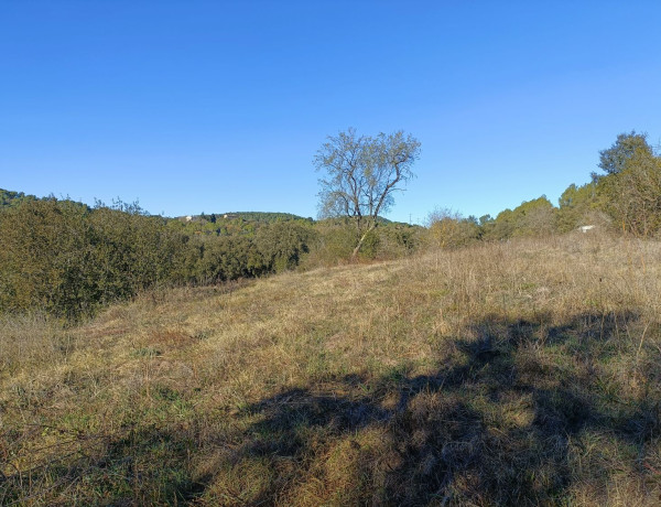 Finca rústica en venta en calle de Sant Daniel