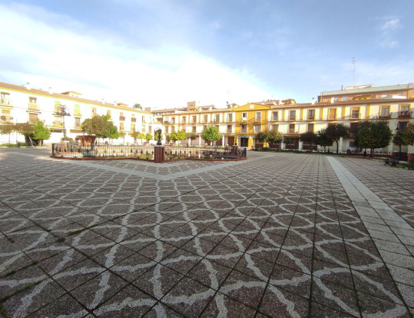 Alquiler de Local en calle Carmen de Burgos Colom, 1