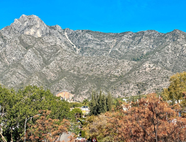 Alquiler de Piso en Jardines De Sierra Blanca s/n