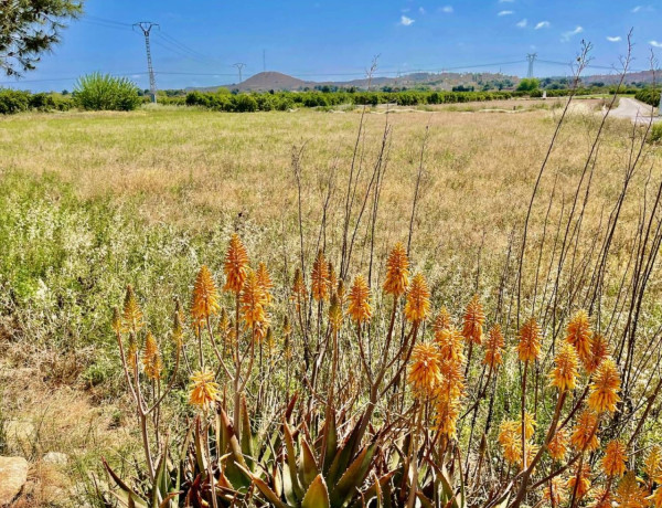 Casa o chalet independiente en venta en Daya Vieja