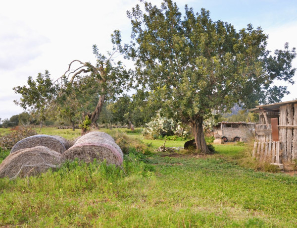 Finca rústica en venta en Lugar Poligono 11