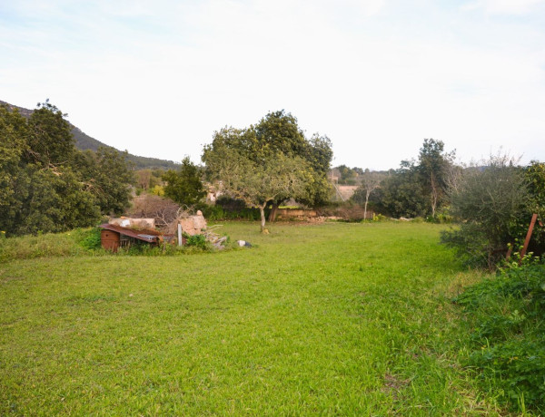 Finca rústica en venta en Lugar Poligono 11