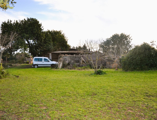 Finca rústica en venta en Lugar Poligono 11