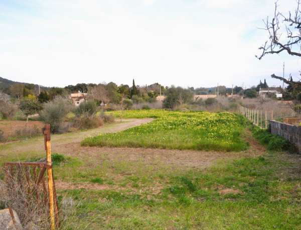 Finca rústica en venta en Lugar Poligono 11