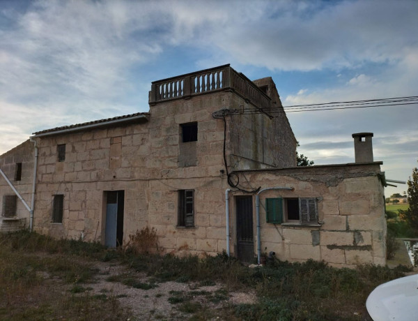 Finca rústica en venta en Porto Cristo