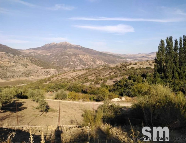 Terreno en venta en Zahara