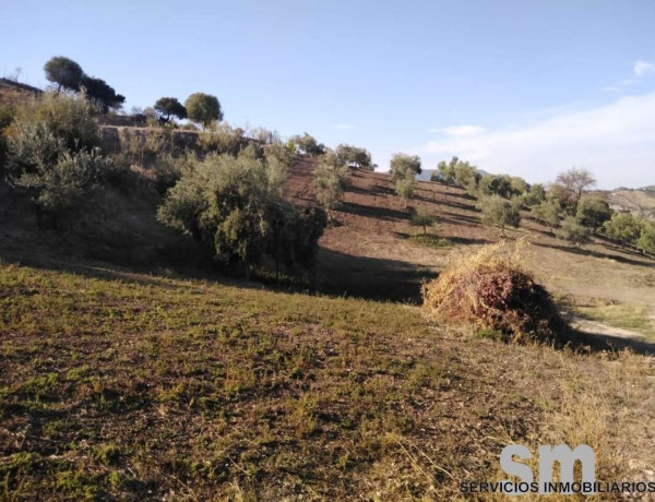 Terreno en venta en Zahara