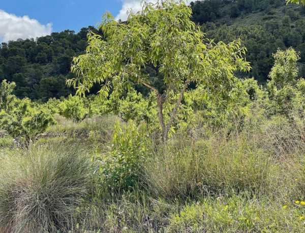 Casa o chalet independiente en venta en Abanilla