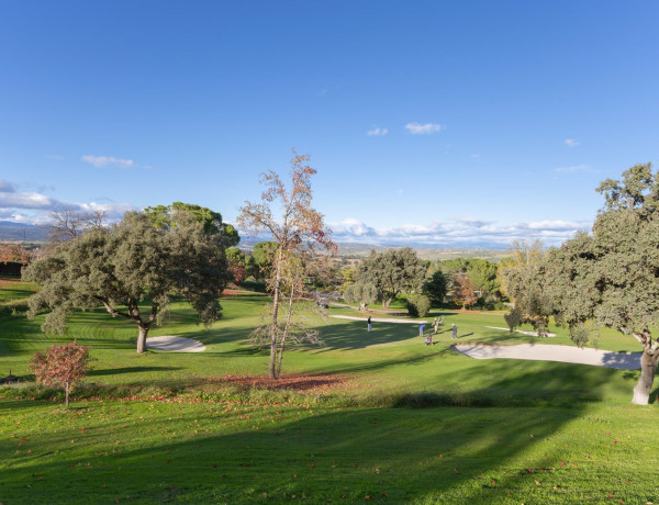 Casa o chalet independiente en venta en Urb. Ciudalcampo, Ciudalcampo