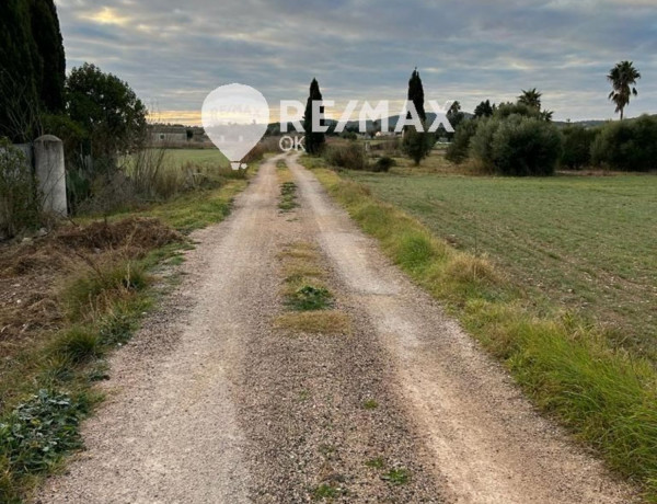 Terreno en venta en Algaida