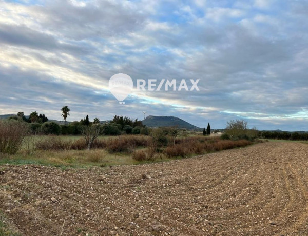 Terreno en venta en Algaida