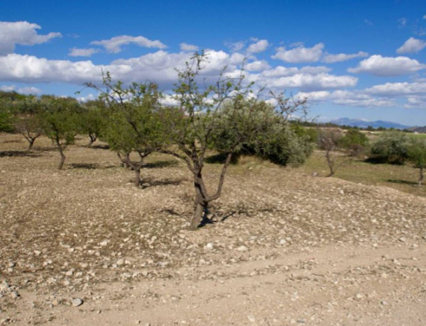 Terreno en venta en Zarcilla de Ramos-Doña Inés