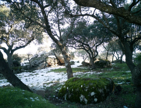 Terreno en venta en Las Zorreras - Monte Encinar