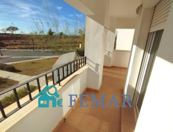 Piso en venta en calle Hacienda Riquelme Vial C, 6 r