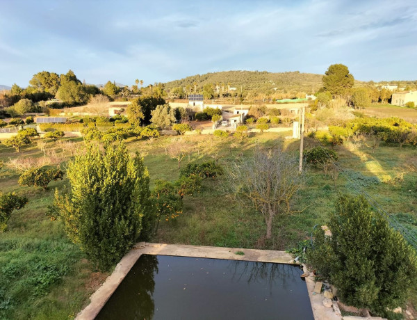 Finca rústica en venta en Porto Cristo