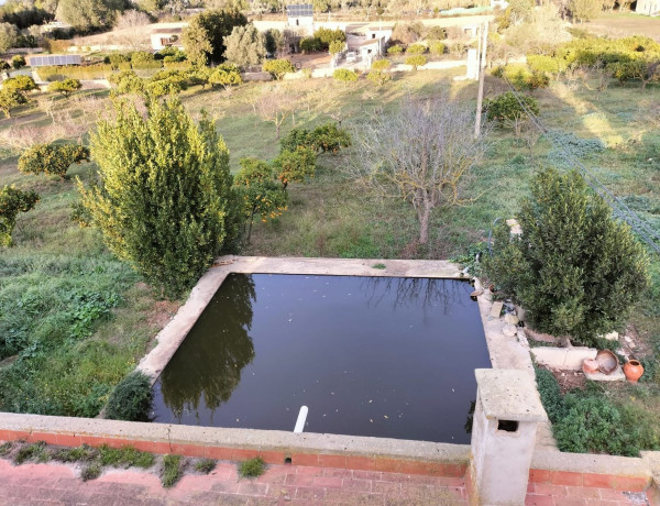 Finca rústica en venta en Porto Cristo