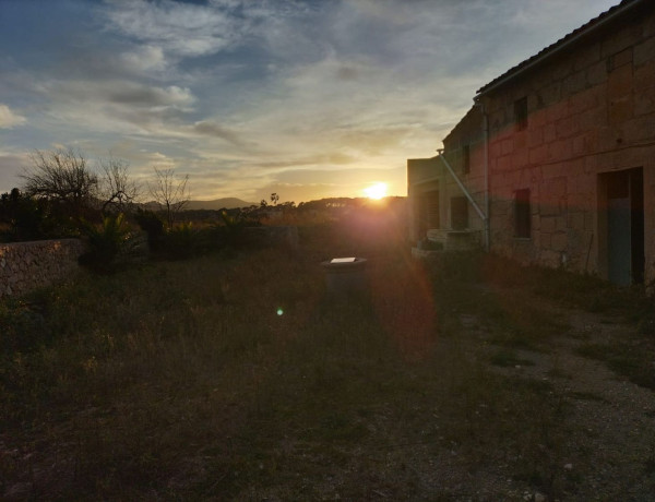 Finca rústica en venta en Porto Cristo