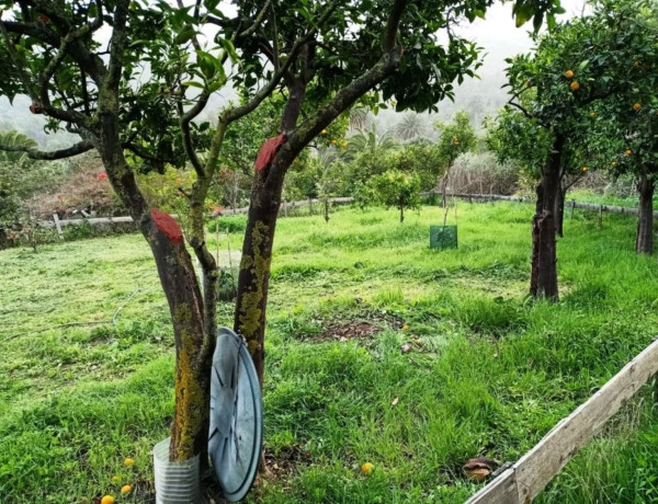 Finca rústica en venta en La Hoya Chiquita s/n