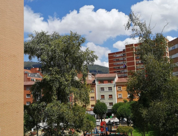 Alquiler de Piso en calle Argañosa, 36