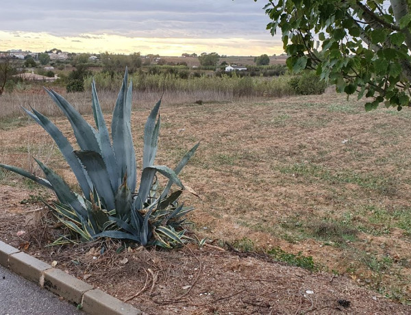 Terreno en venta en Requena