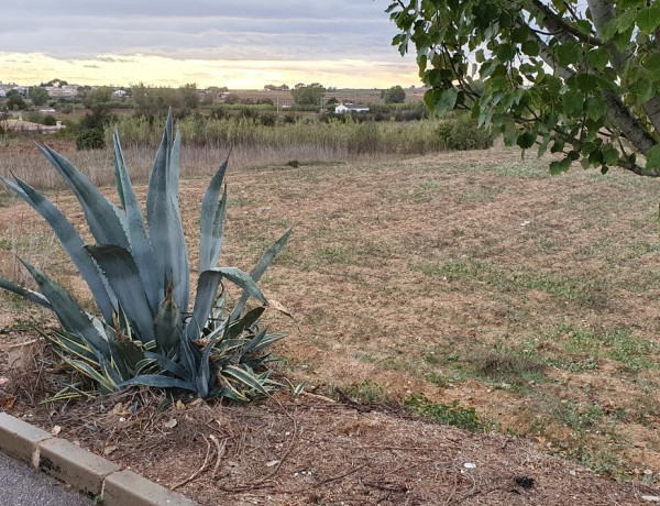 Terreno en venta en Requena