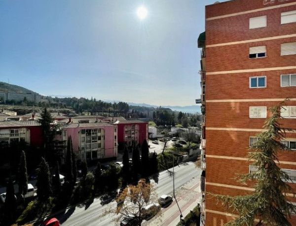 Alquiler de Piso en calle Gutierre Tibón, 14