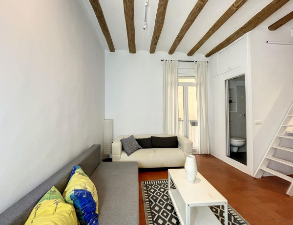 Estudio en venta en El Raval