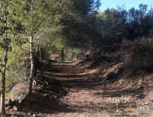 Finca rústica en venta en Pego