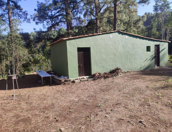 Finca rústica en venta en camino Los Helechos