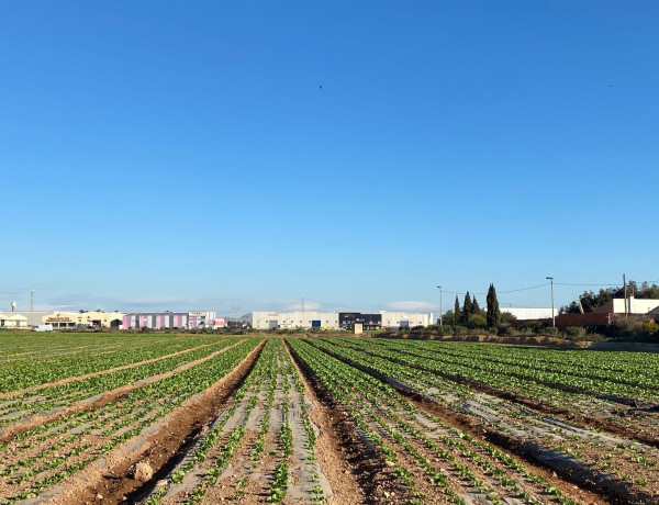 Terreno en venta en Lugar los Olmicos, 79